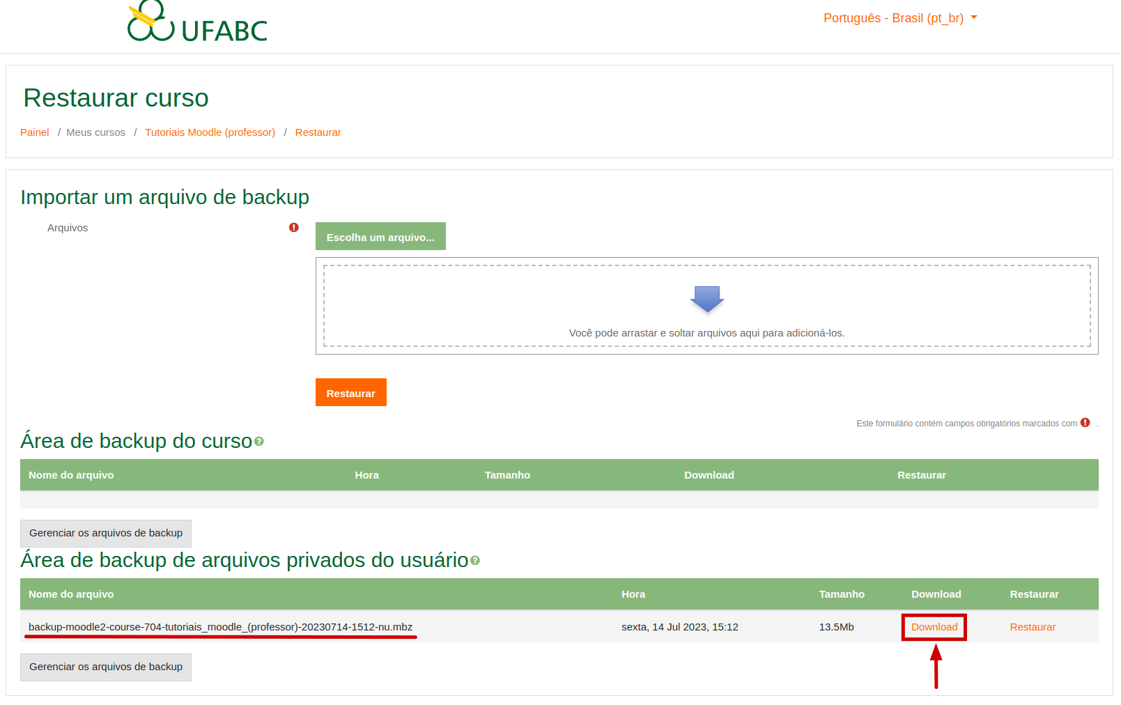 Captura de tela demonstrando o procedimento descrito acima. Mostrando a área de backup de arquivos privados do usuário