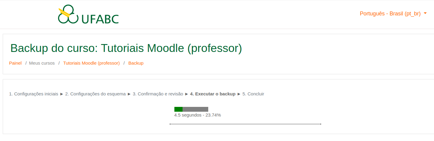 Captura de tela mostrando um exemplo de execução de backup com uma barra de porcentagem.