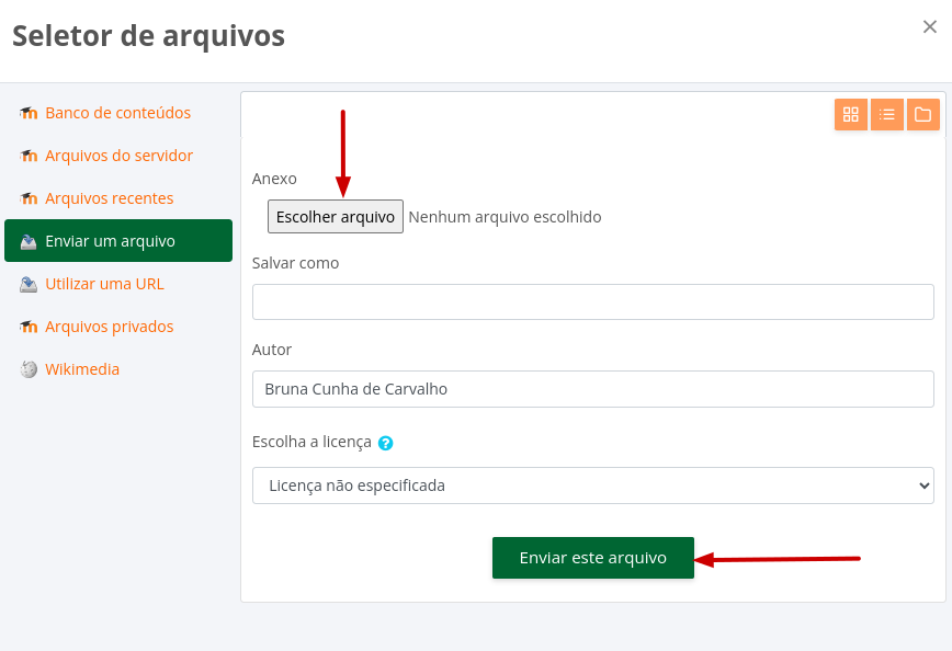 Captura de tela demonstrando o procedimento descrito acima para seleção de arquivo e envio do arquivo.