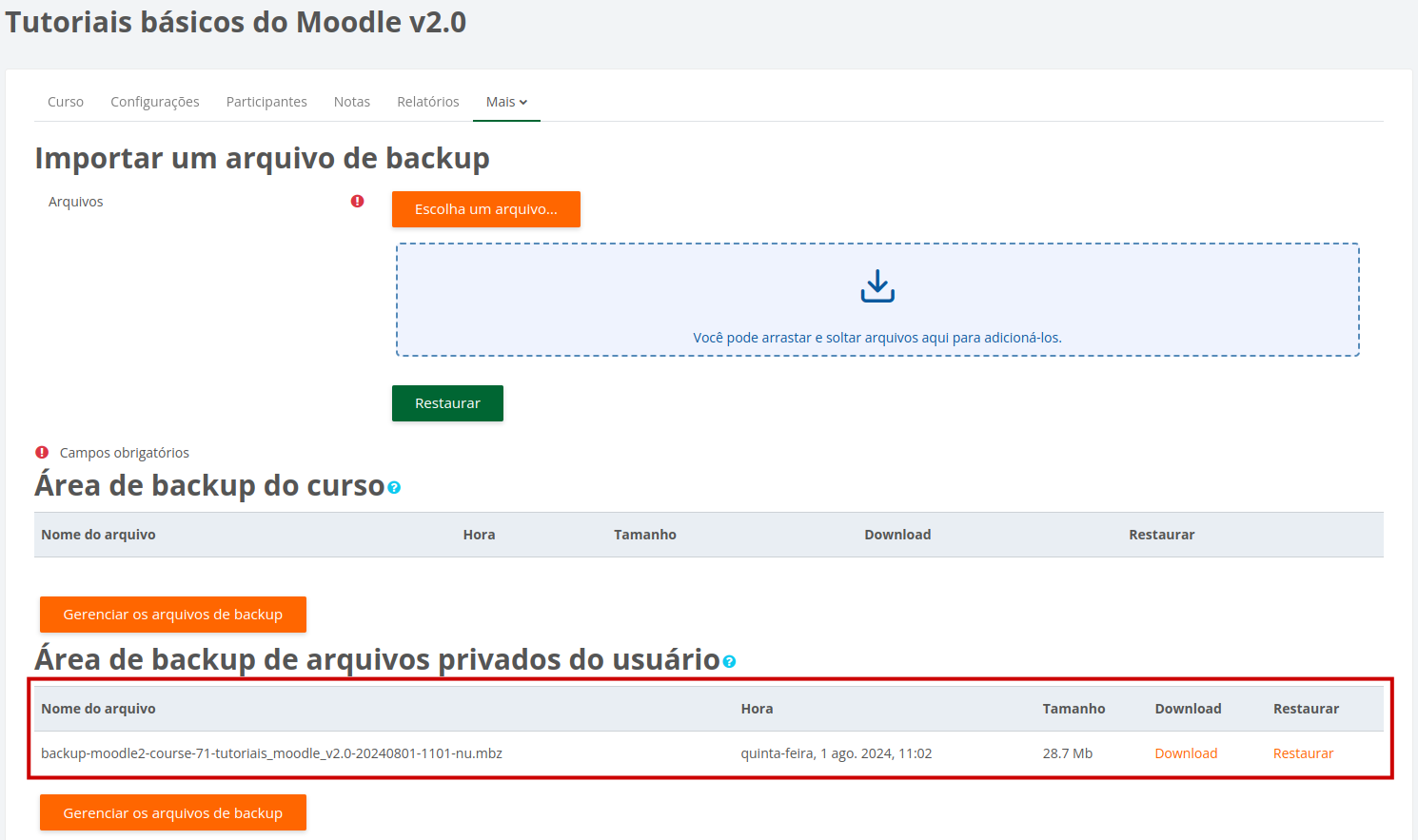 Captura de tela mostrando a área de backup de arquivos privados do usuário com o arquivo de backup gerado.