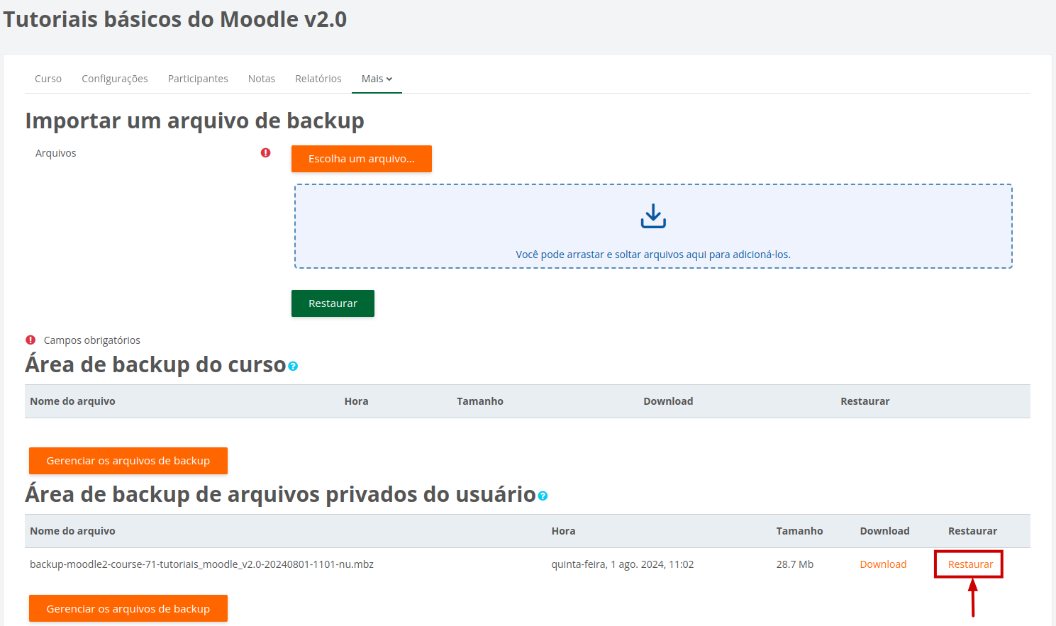 Imagem mostrando a área de backup de arquivos privados do usuário e o arquivo de backup a ser restaurado nesta área.