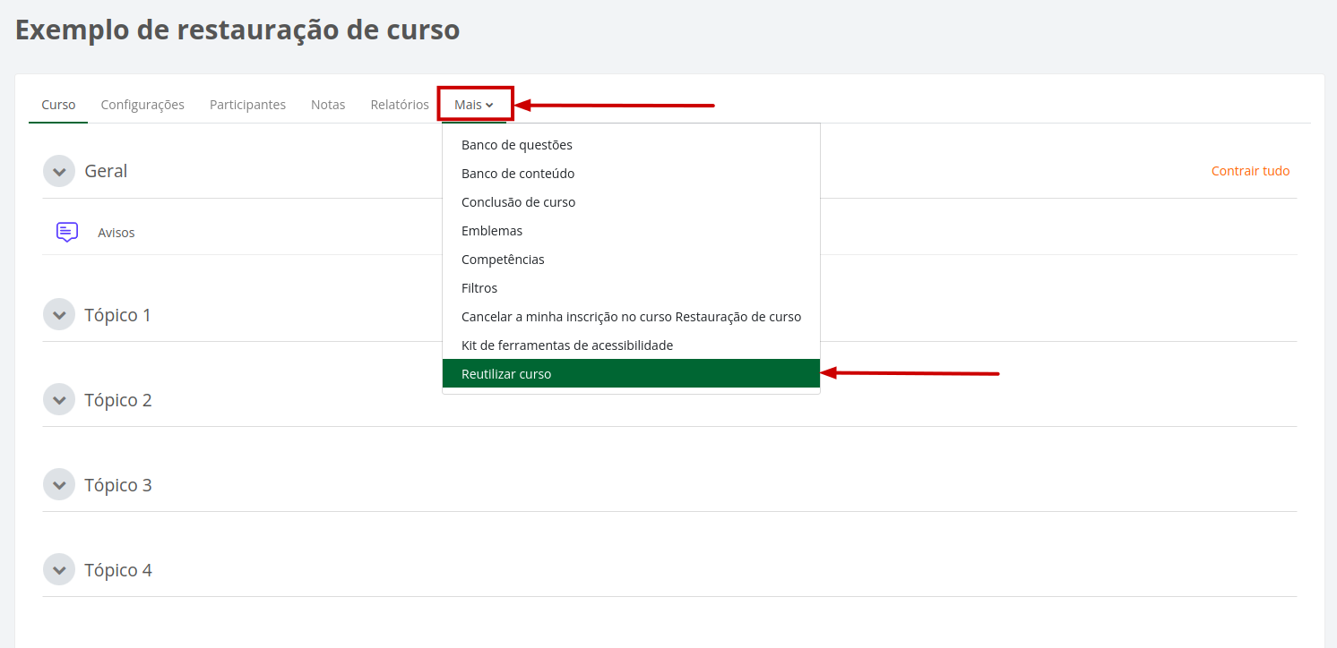 Captura de tela demonstrando o procedimento descrito acima.