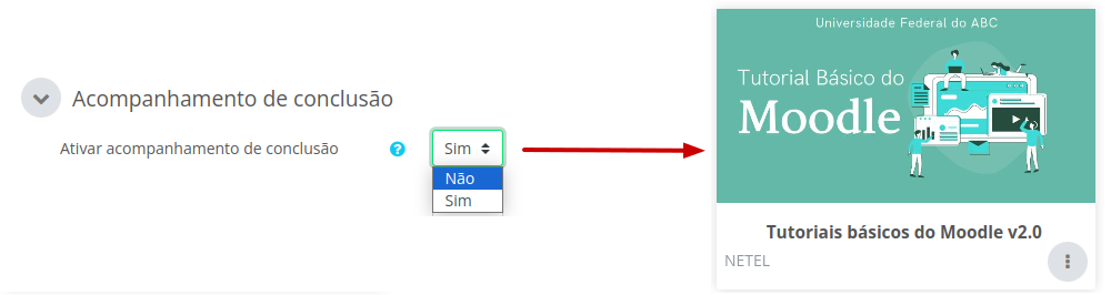 Imagem mostrando a opção não selecionada e a imagem do curso sem a porcentagem para acompanhamento.