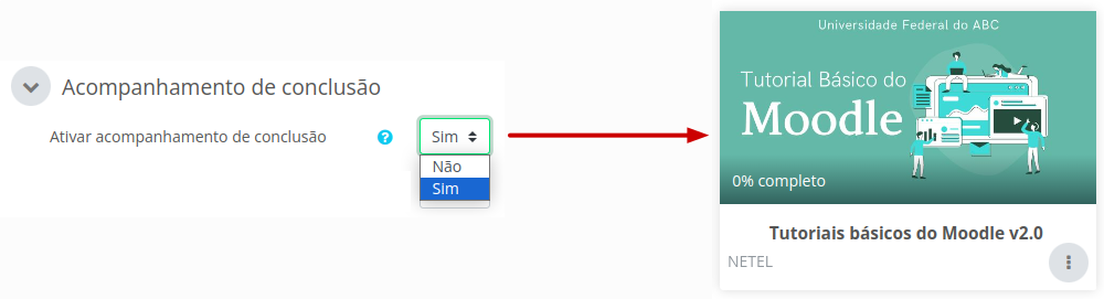 Imagem mostrando a opção sim selecionada e a porcentagem de conclusão do curso na imagem do curso.