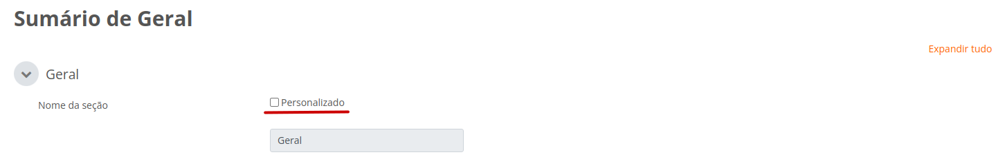 Captura de tela do campo nome da seção bloqueado para edição, por estar com a opção personalizado desmarcada.