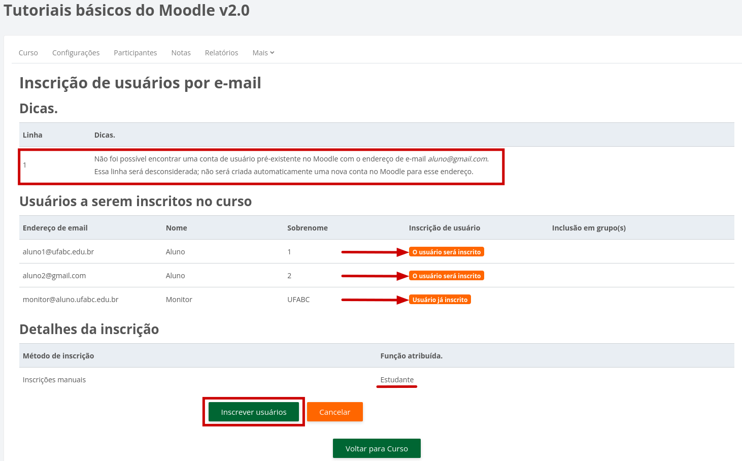 Captura da tela de confirmação de usuários a serem inscritos, erros encontrados e detalhes da inscrição 