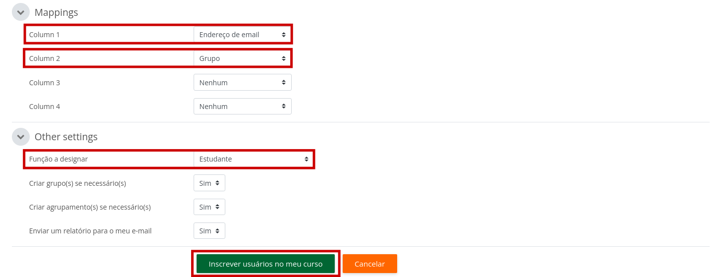 Imagem com as opções de mapeamento das colunas e função a designar conforme descritos acima