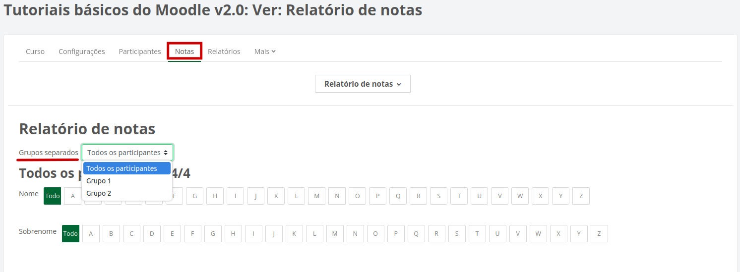 Captura de tela do Relatório de Notas, com o campo grupo separados para seleção dos grupos.