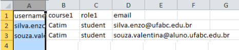 Imagem com exemplo de planilha com as colunas, username, course, role1 e email.