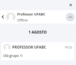 Captura de tela do chat com exemplo de onde e como a mensagem foi recebida.