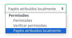 Imagem da caixa de seleção com a opção Papéis atribuídos localmente selecionada