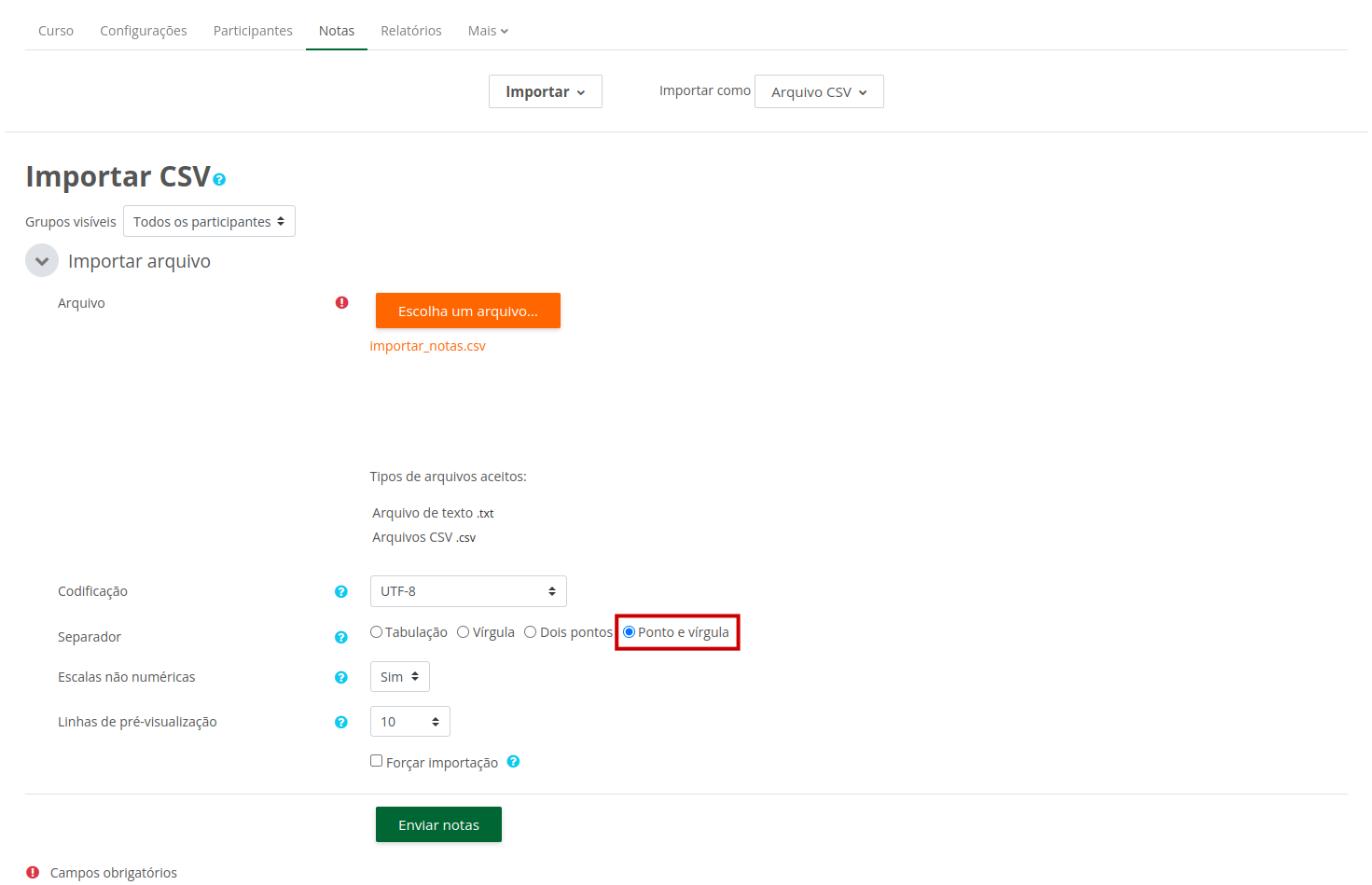 Imagem mostrando a área de importação do arquivo com as configurações sugeridas acima