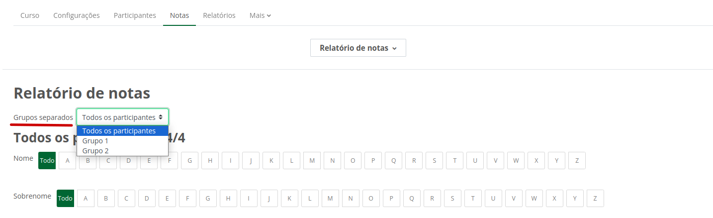 Captura de tela mostrando o relatório de notas com as opções de visualização por grupos separados.