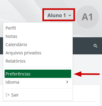 Imagem do menu de opções que aparece ao clicar no seu nome e a opção preferências selecionada