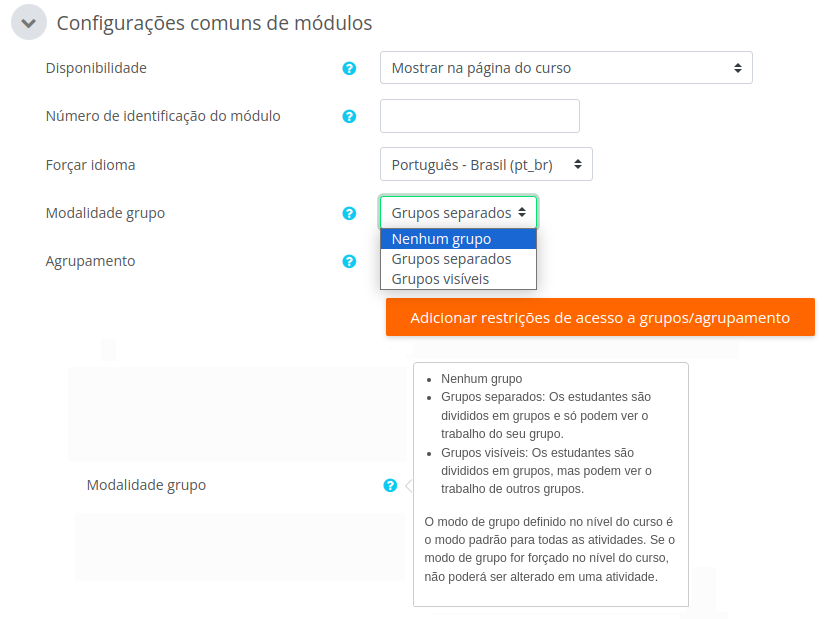 Imagem mostrando o campo Modalidade de grupo, com as opções nenhum, separados ou visíveis.