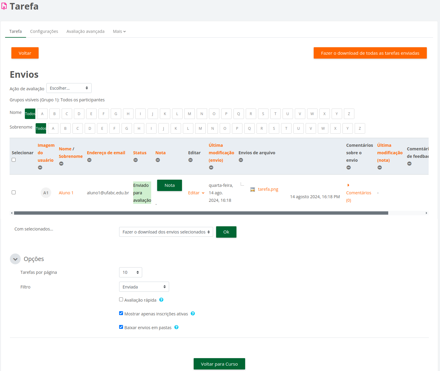 imagem da página dos envios da tarefa com as opções para fazer download de todas as tarefas enviadas