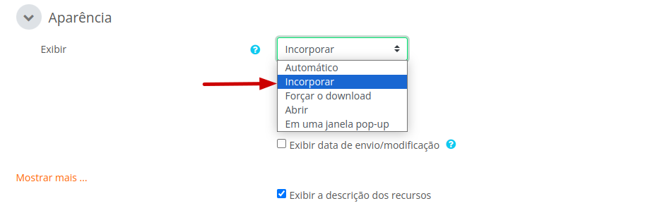 Imagem mostrando a área Aparência e as opções disponíveis do campo Exibir, que são automático, incorporar, forçar download, abrir e em uma janela pop-up.