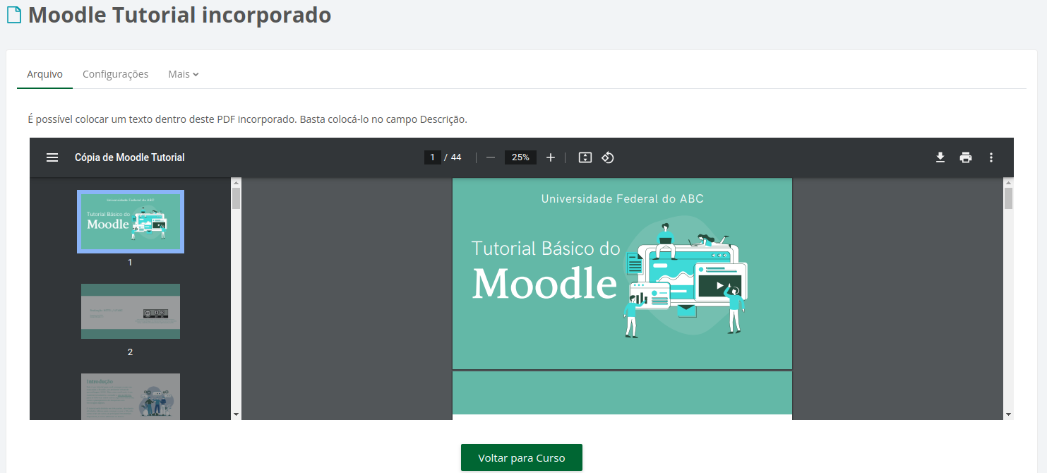 Captura de tela de PDF incorporado ao site, mostrado dentro de uma área especifica do curso.