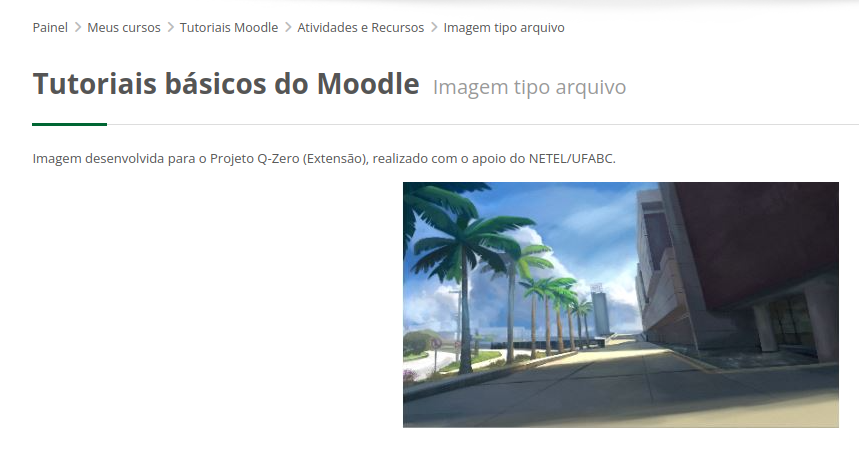 Captura de tela da imagem incorporada ao Moodle com um texto descritivo da imagem