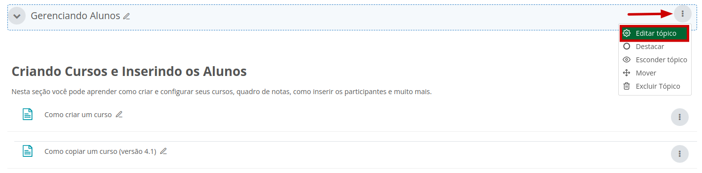 Imagem mostrando a opção Editar tópico