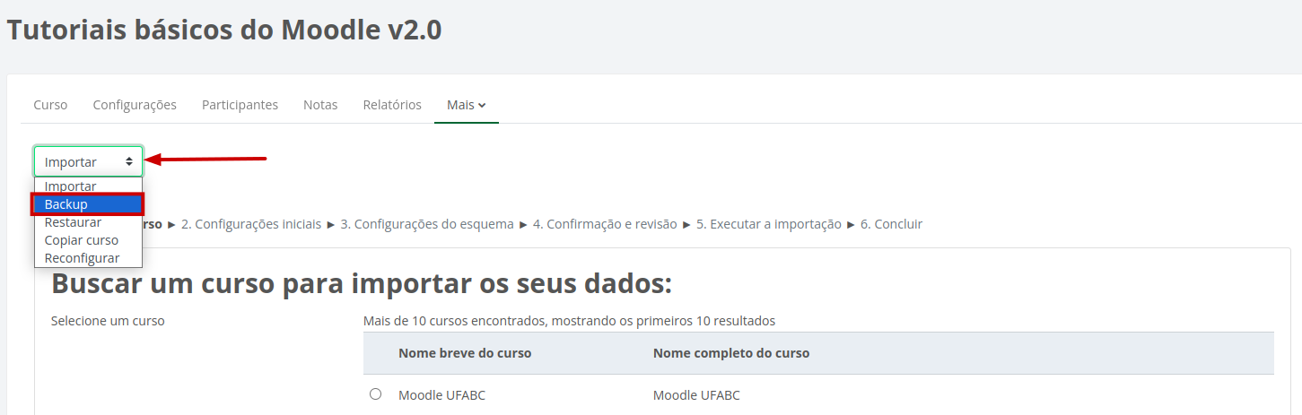 Opção Importar selecionada com a alternativa Backup.