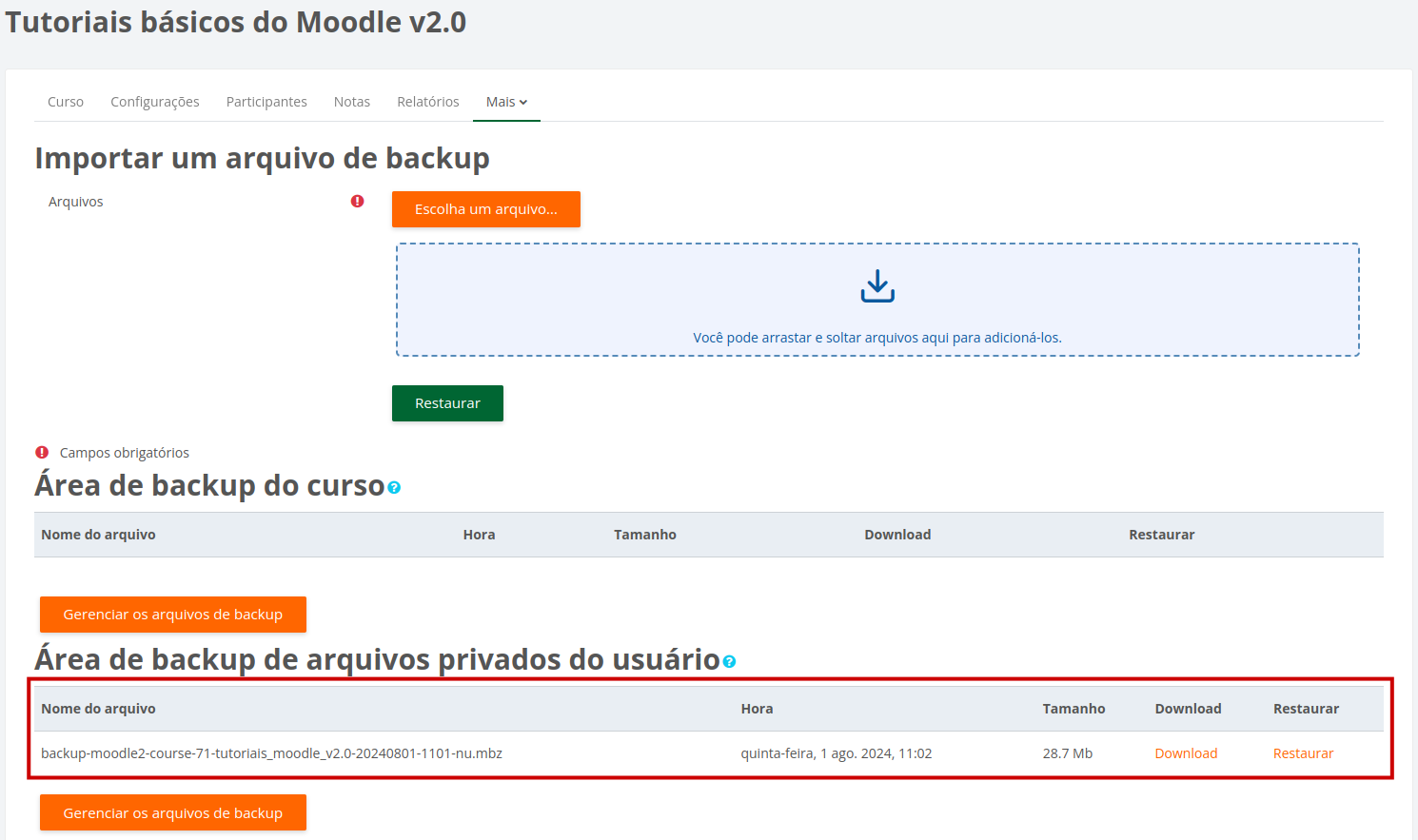 Área de arquivos privados do usuário exibindo o arquivo de backup gerado.