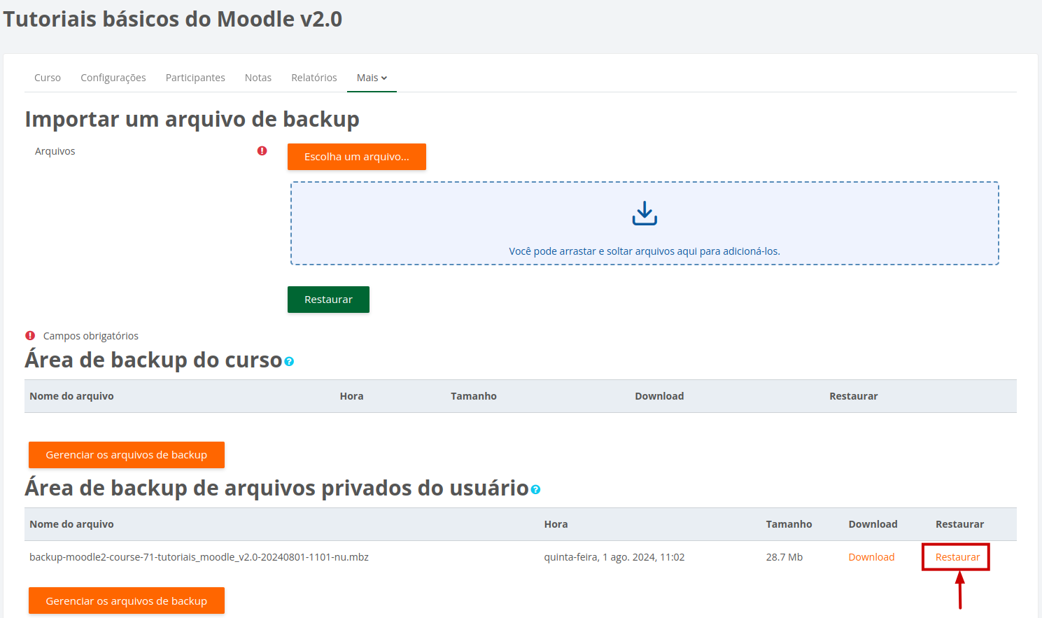 Arquivo de backup selecionado para restauração.