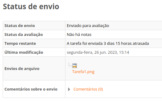 Imagem de exemplo do resumo de tarefa enviada atrasada.